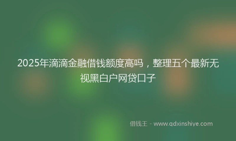 2025年滴滴金融借钱额度高吗，整理五个最新无视黑白户网贷口子
