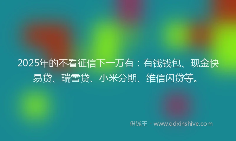 2025年的不看征信下一万有：有钱钱包、现金快易贷、瑞雪贷、小米分期、维信闪贷等。