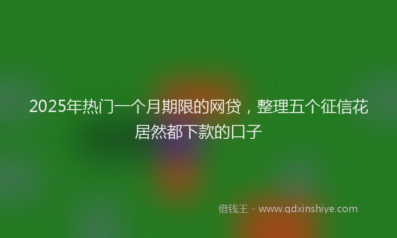 2025年热门一个月期限的网贷，整理五个征信花居然都下款的口子