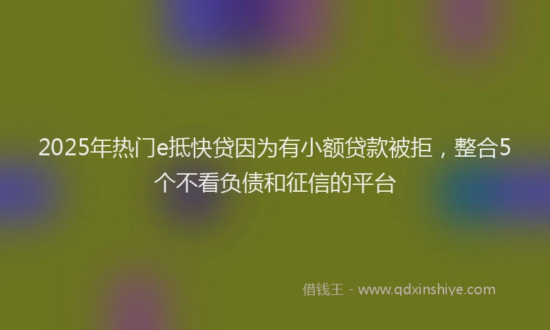 2025年热门e抵快贷因为有小额贷款被拒，整合5个不看负债和征信的平台