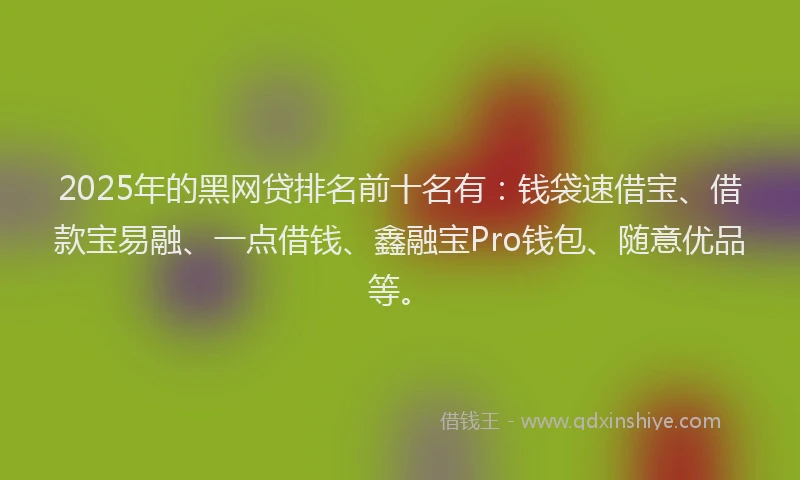 2025年的黑网贷排名前十名有：钱袋速借宝、借款宝易融、一点借钱、鑫融宝Pro钱包、随意优品等。