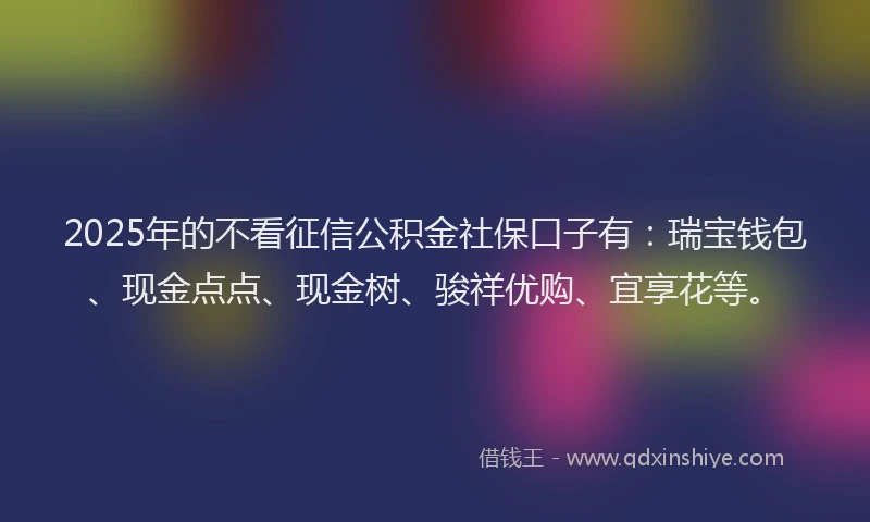 2025年的不看征信公积金社保口子有：瑞宝钱包、现金点点、现金树、骏祥优购、宜享花等。