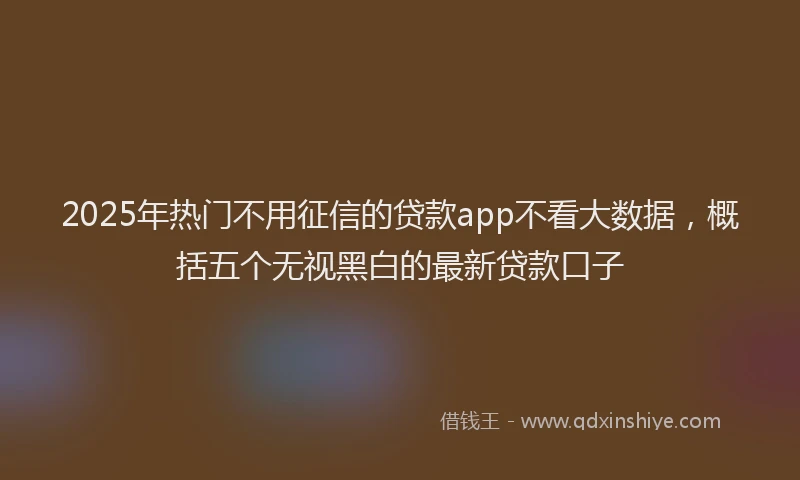 2025年热门不用征信的贷款app不看大数据，概括五个无视黑白的最新贷款口子