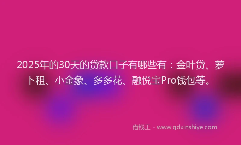 2025年的30天的贷款口子有哪些有：金叶贷、萝卜租、小金象、多多花、融悦宝Pro钱包等。