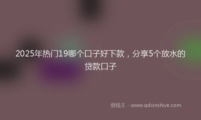 2025年热门19哪个口子好下款，分享5个放水的贷款口子