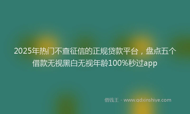 2025年热门不查征信的正规贷款平台，盘点五个借款无视黑白无视年龄100%秒过app