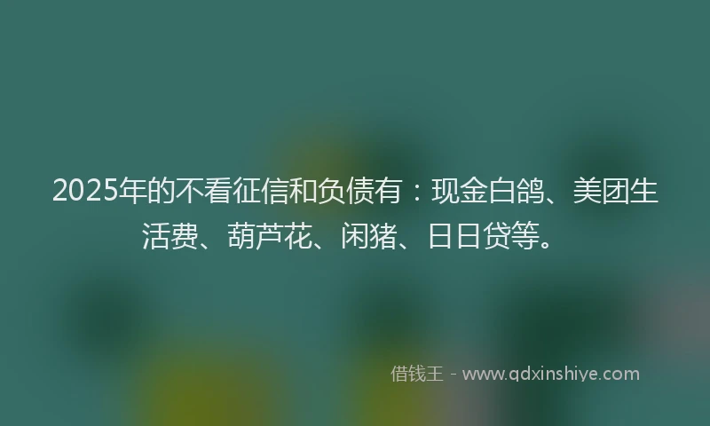 2025年的不看征信和负债有：现金白鸽、美团生活费、葫芦花、闲猪、日日贷等。