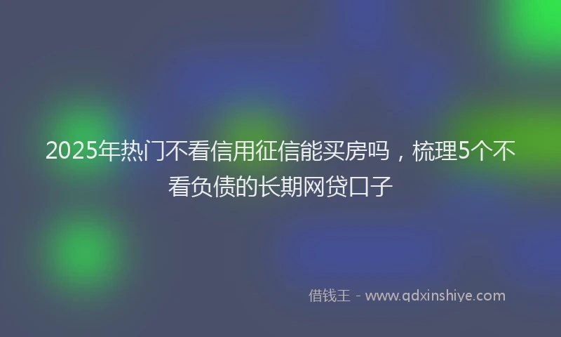 2025年热门不看信用征信能买房吗，梳理5个不看负债的长期网贷口子