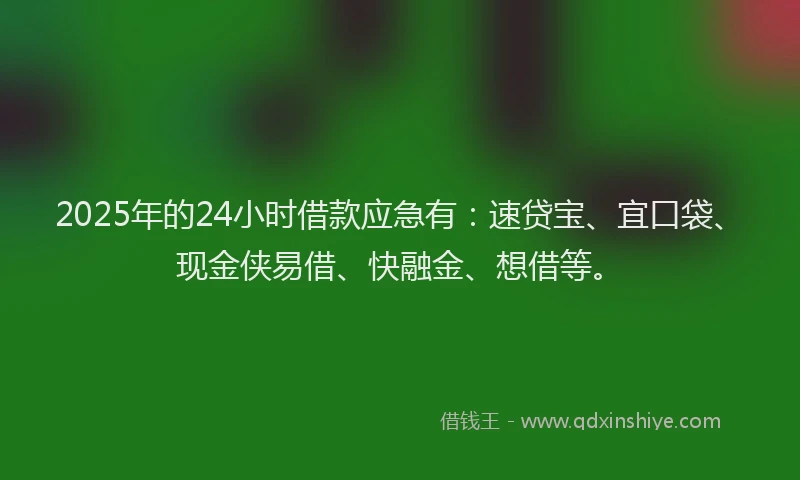 2025年的24小时借款应急有：速贷宝、宜口袋、现金侠易借、快融金、想借等。