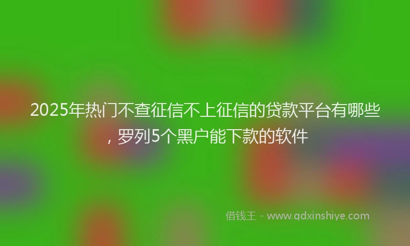 2025年热门不查征信不上征信的贷款平台有哪些，罗列5个黑户能下款的软件