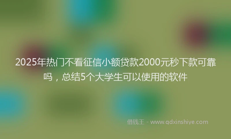 2025年热门不看征信小额贷款2000元秒下款可靠吗，总结5个大学生可以使用的软件