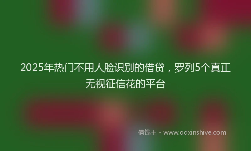 2025年热门不用人脸识别的借贷，罗列5个真正无视征信花的平台
