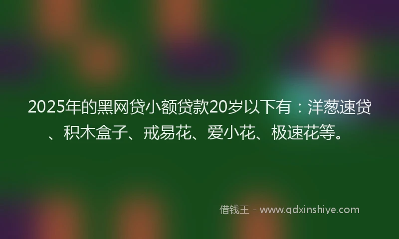 2025年的黑网贷小额贷款20岁以下有：洋葱速贷、积木盒子、戒易花、爱小花、极速花等。