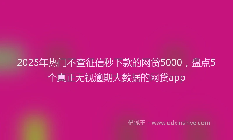 2025年热门不查征信秒下款的网贷5000，盘点5个真正无视逾期大数据的网贷app
