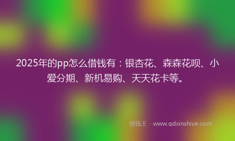 2025年的pp怎么借钱有：银杏花、森森花呗、小爱分期、新机易购、天天花卡等。