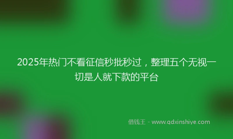 2025年热门不看征信秒批秒过，整理五个无视一切是人就下款的平台