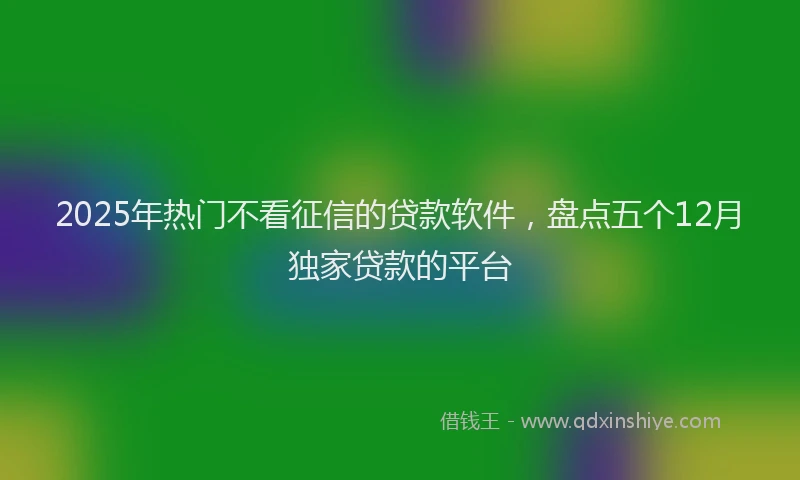 2025年热门不看征信的贷款软件，盘点五个12月独家贷款的平台