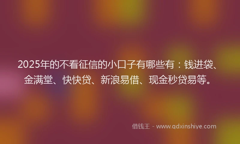 2025年的不看征信的小口子有哪些有：钱进袋、金满堂、快快贷、新浪易借、现金秒贷易等。