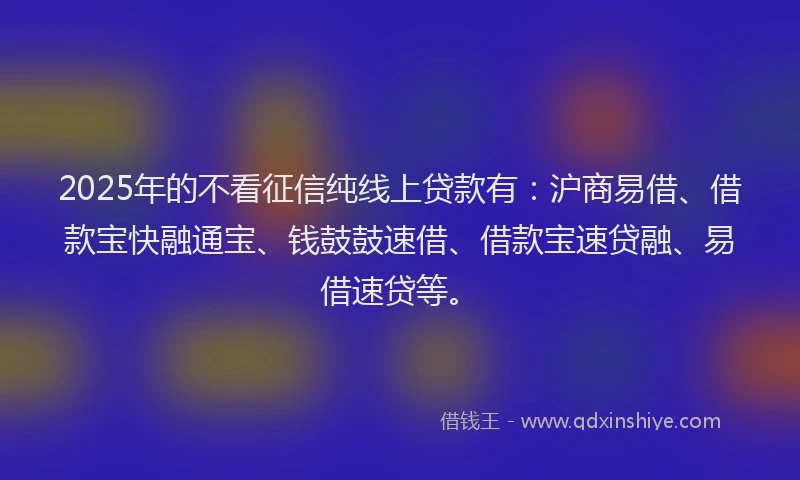 2025年的不看征信纯线上贷款有：沪商易借、借款宝快融通宝、钱鼓鼓速借、借款宝速贷融、易借速贷等。
