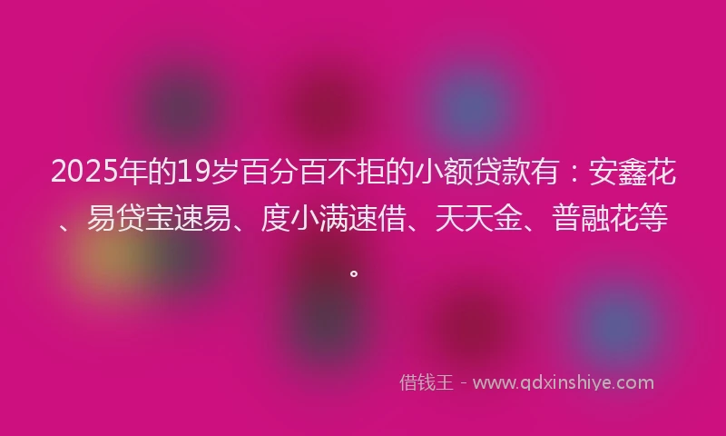 2025年的19岁百分百不拒的小额贷款有：安鑫花、易贷宝速易、度小满速借、天天金、普融花等。