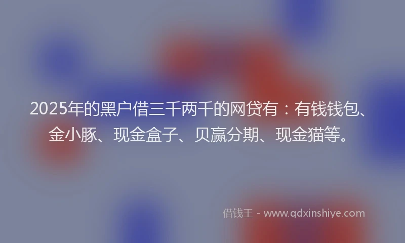 2025年的黑户借三千两千的网贷有：有钱钱包、金小豚、现金盒子、贝赢分期、现金猫等。