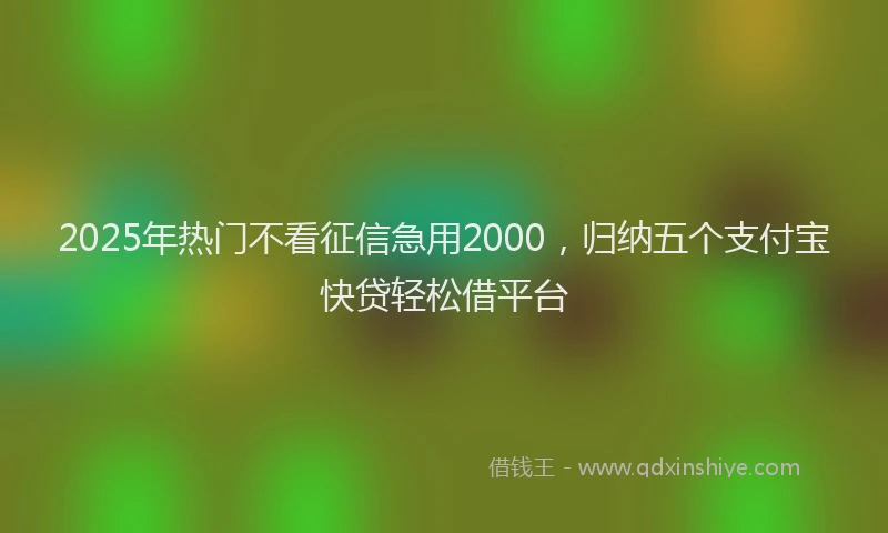 2025年热门不看征信急用2000，归纳五个支付宝快贷轻松借平台