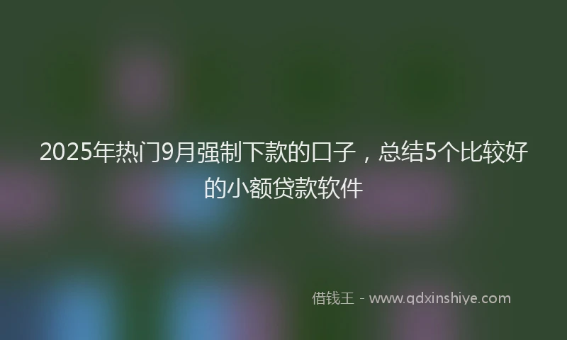 2025年热门9月强制下款的口子，总结5个比较好的小额贷款软件