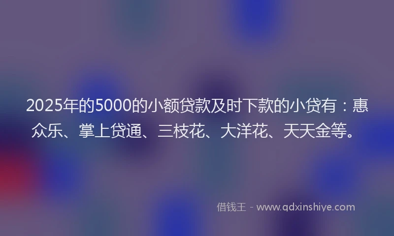 2025年的5000的小额贷款及时下款的小贷有：惠众乐、掌上贷通、三枝花、大洋花、天天金等。