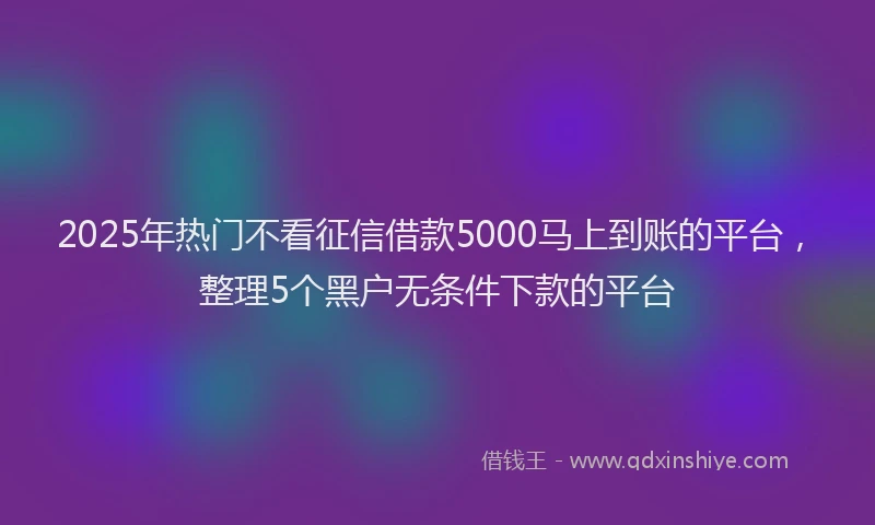 2025年热门不看征信借款5000马上到账的平台，整理5个黑户无条件下款的平台
