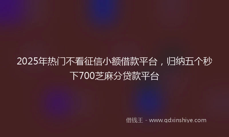 2025年热门不看征信小额借款平台，归纳五个秒下700芝麻分贷款平台