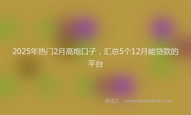 2025年热门2月高炮口子，汇总5个12月能贷款的平台