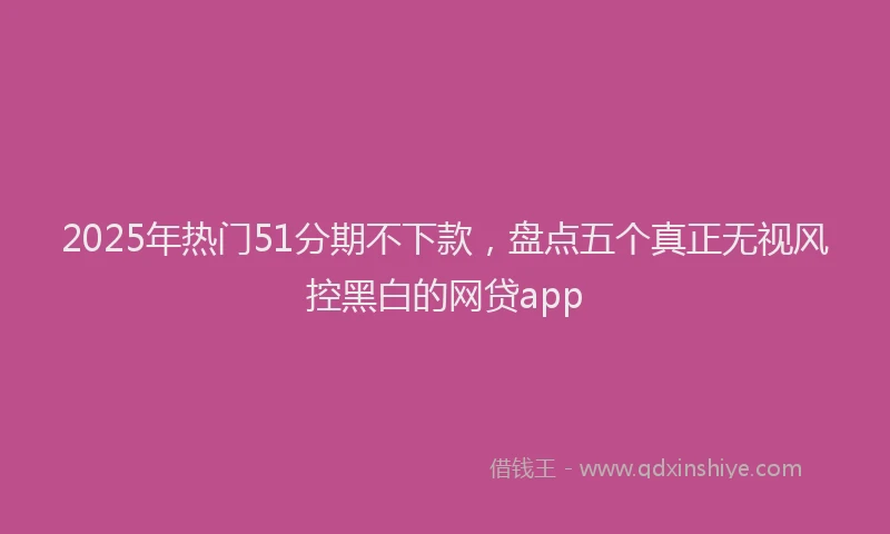 2025年热门51分期不下款，盘点五个真正无视风控黑白的网贷app