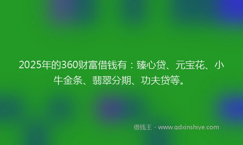 2025年的360财富借钱有：臻心贷、元宝花、小牛金条、翡翠分期、功夫贷等。