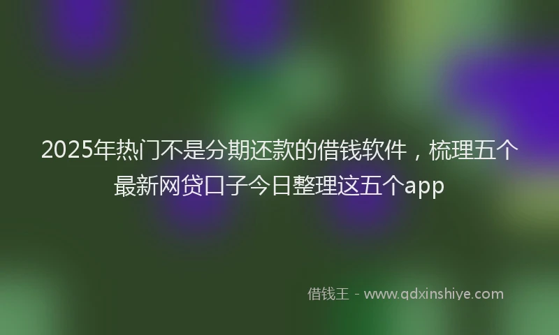 2025年热门不是分期还款的借钱软件，梳理五个最新网贷口子今日整理这五个app