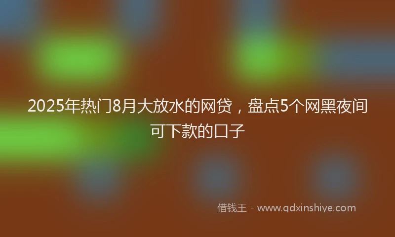 2025年热门8月大放水的网贷，盘点5个网黑夜间可下款的口子