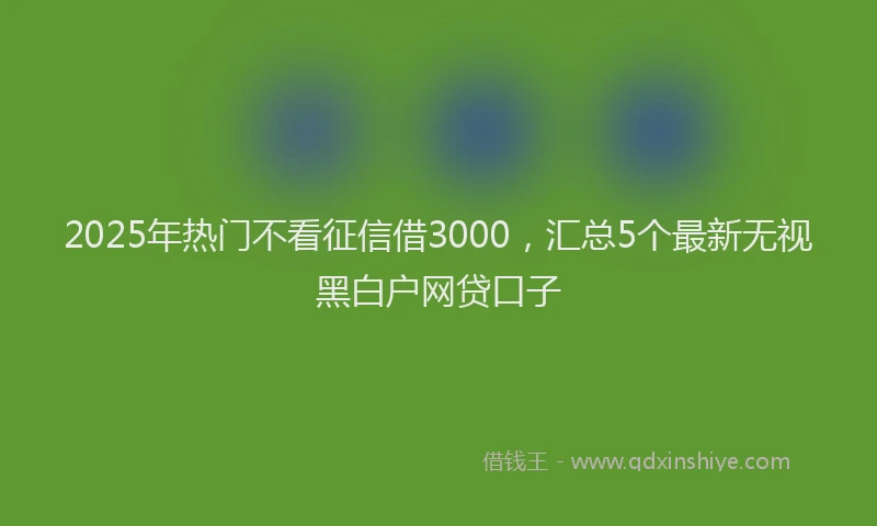 2025年热门不看征信借3000，汇总5个最新无视黑白户网贷口子