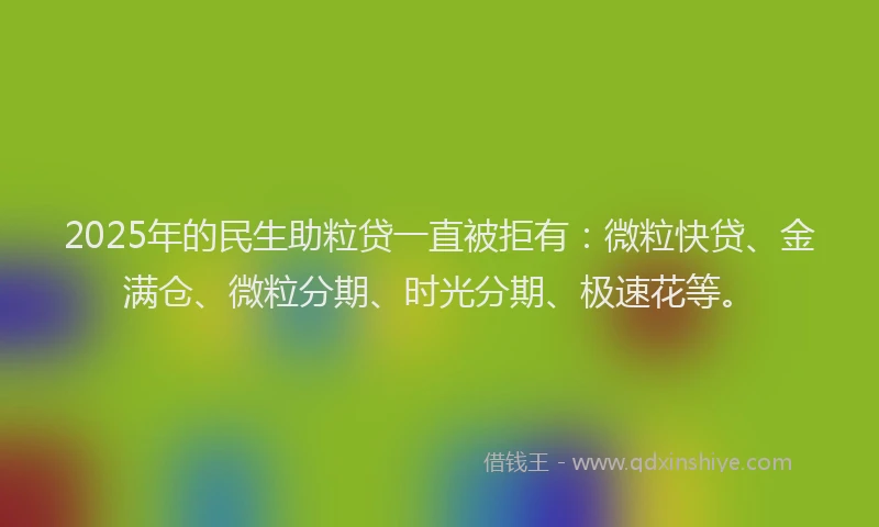 2025年的民生助粒贷一直被拒有：微粒快贷、金满仓、微粒分期、时光分期、极速花等。