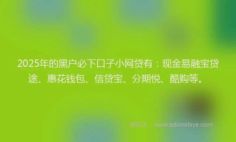 2025年的黑户必下口子小网贷有：现金易融宝贷途、惠花钱包、信贷宝、分期悦、酷购等。