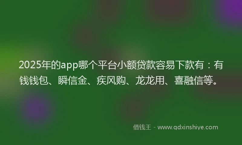 2025年的app哪个平台小额贷款容易下款有：有钱钱包、瞬信金、疾风购、龙龙用、喜融信等。