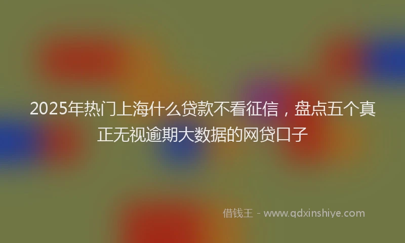 2025年热门上海什么贷款不看征信，盘点五个真正无视逾期大数据的网贷口子
