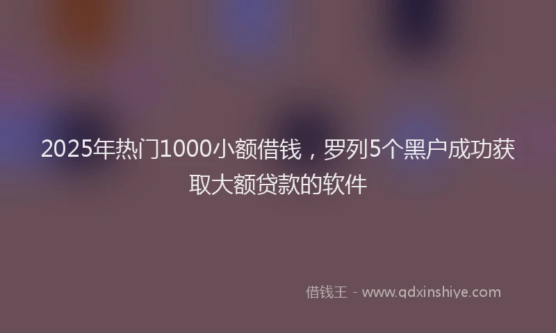 2025年热门1000小额借钱，罗列5个黑户成功获取大额贷款的软件