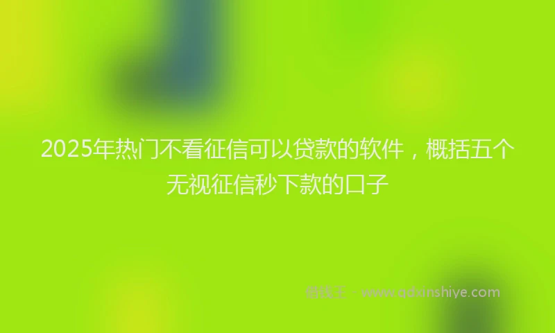 2025年热门不看征信可以贷款的软件，概括五个无视征信秒下款的口子