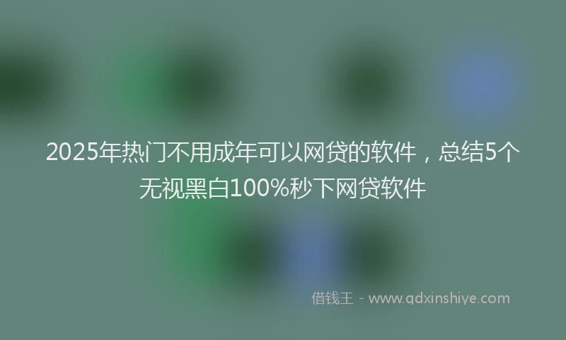 2025年热门不用成年可以网贷的软件,总结5个无视黑白100%秒下网贷软件