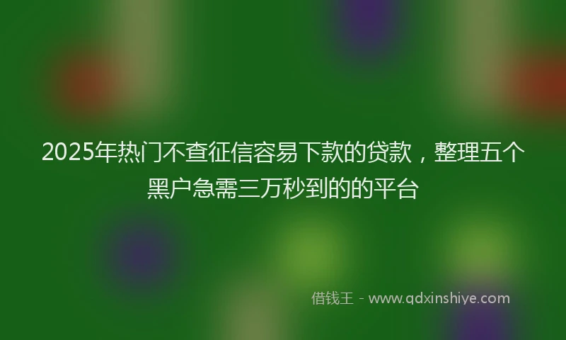 2025年热门不查征信容易下款的贷款，整理五个黑户急需三万秒到的的平台