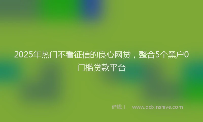 2025年热门不看征信的良心网贷，整合5个黑户0门槛贷款平台