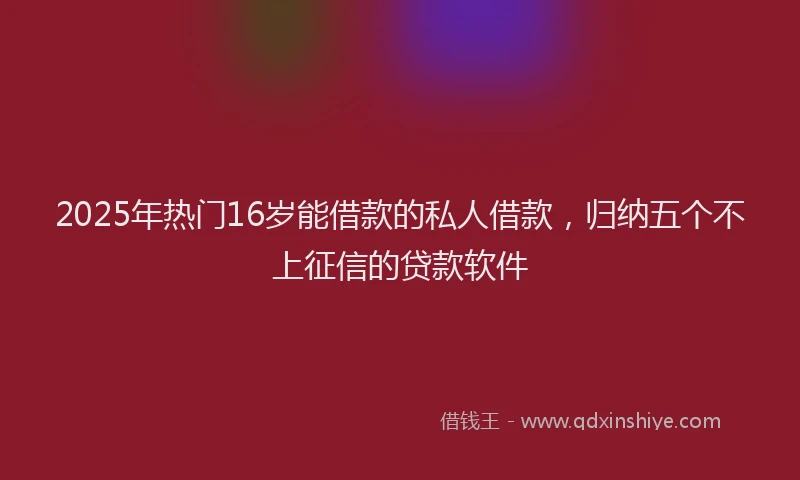 2025年热门16岁能借款的私人借款，归纳五个不上征信的贷款软件
