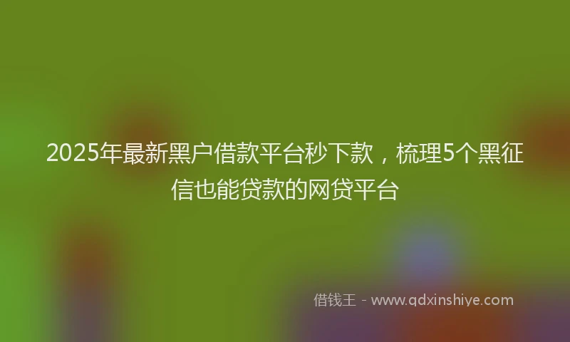 2025年最新黑户借款平台秒下款，梳理5个黑征信也能贷款的网贷平台
