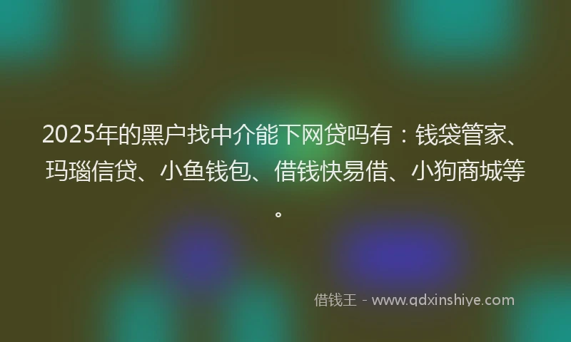 2025年的黑户找中介能下网贷吗有：钱袋管家、玛瑙信贷、小鱼钱包、借钱快易借、小狗商城等。