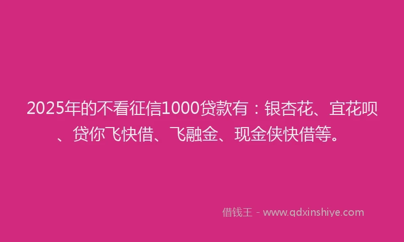2025年的不看征信1000贷款有：银杏花、宜花呗、贷你飞快借、飞融金、现金侠快借等。