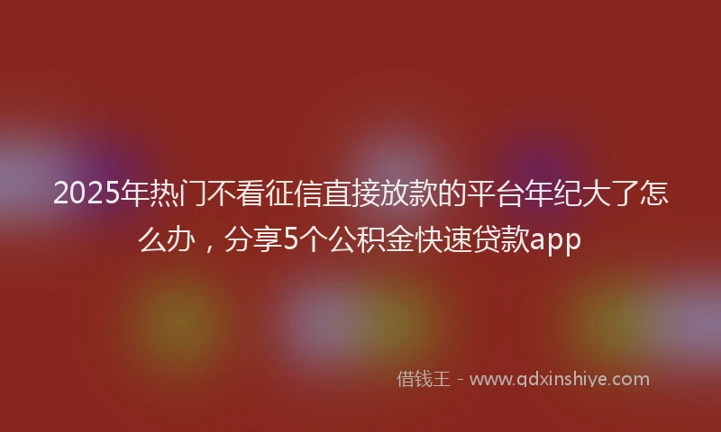 2025年热门不看征信直接放款的平台年纪大了怎么办，分享5个公积金快速贷款app